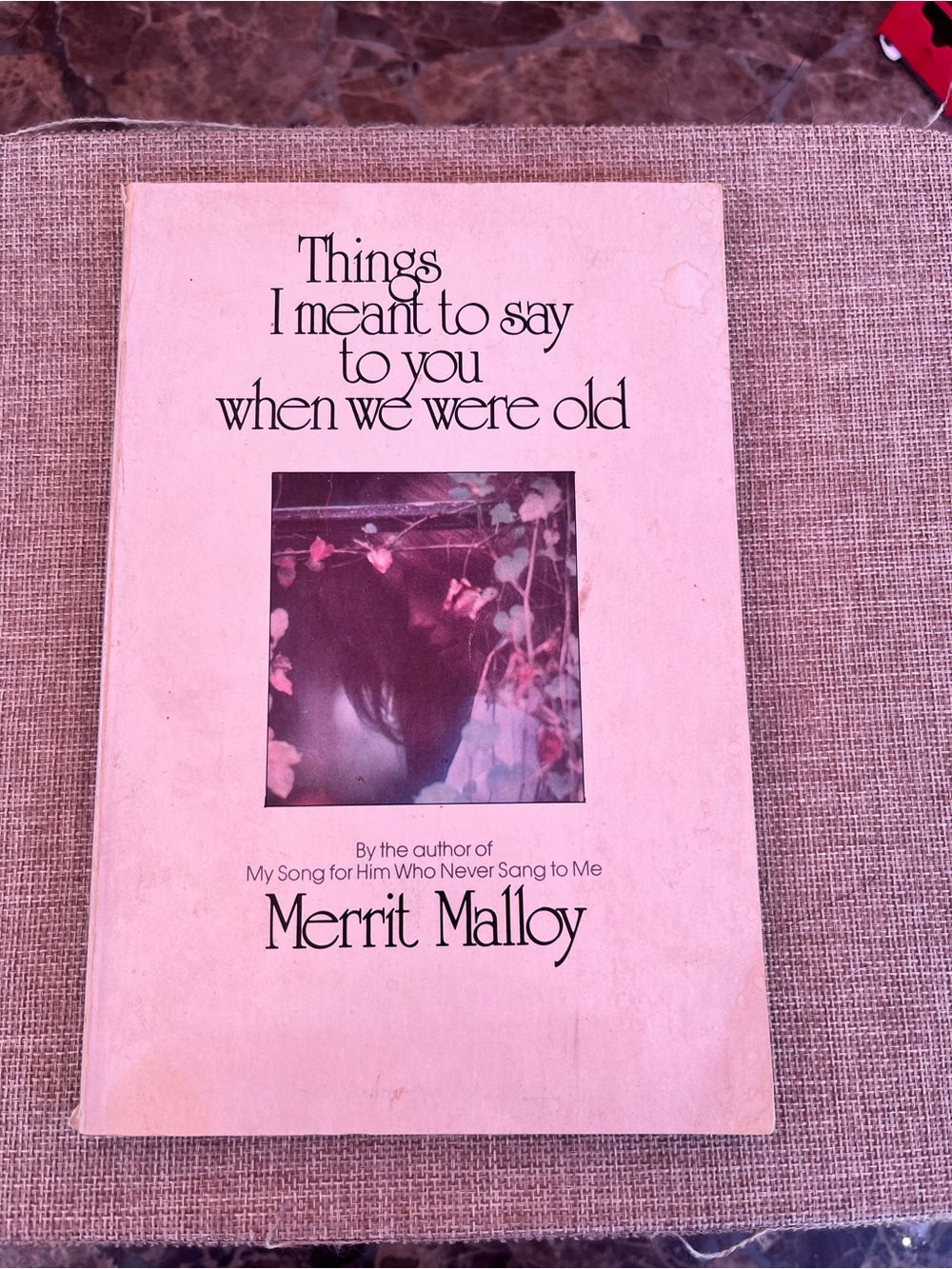 Merrit Malloy “Things I Meant to say to you when we were old” poetry book